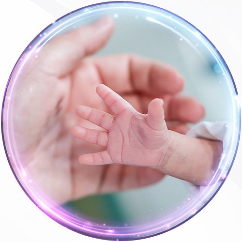 Prematuridade.com
